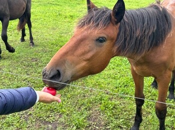 Благотворительная федеральная акция «Лучший друг» в Кировском районе