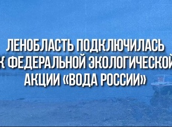 Любишь загорать — люби убирать. В Кировском районе прошла эко-акция.