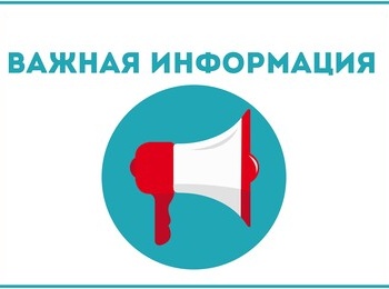 Выборочное обследование деятельности индивидуальных предпринимателей в розничной торговле