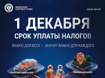 1 декабря 2026 года - крайний срок уплаты налогов!